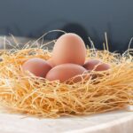 eggs superfood